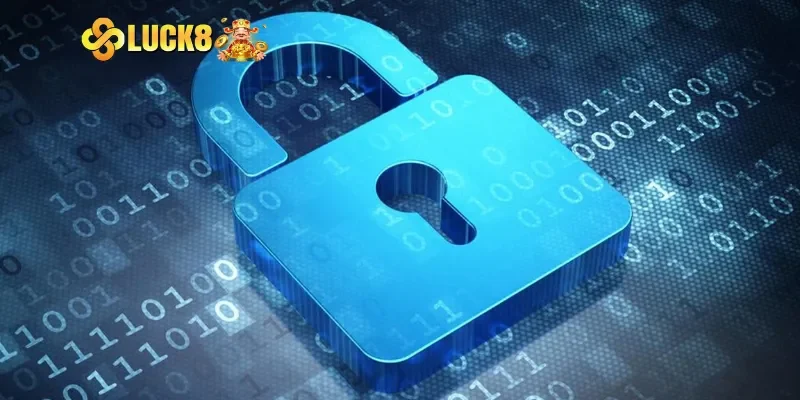 Phạm vi của quy định về chính sách bảo mật